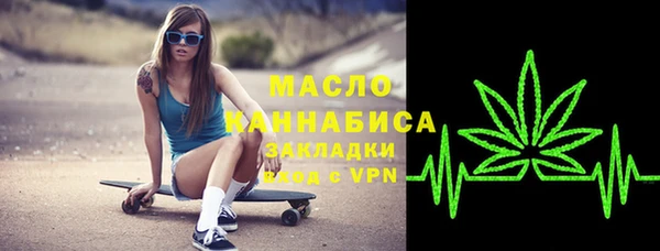 хмурый Арсеньев