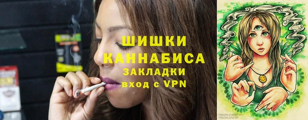 прущие грибы Балахна