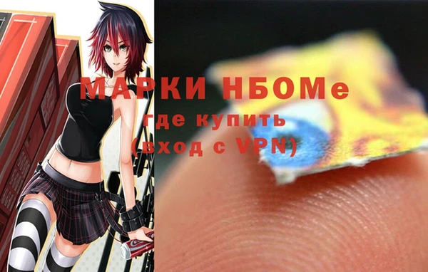 хмурый Арсеньев