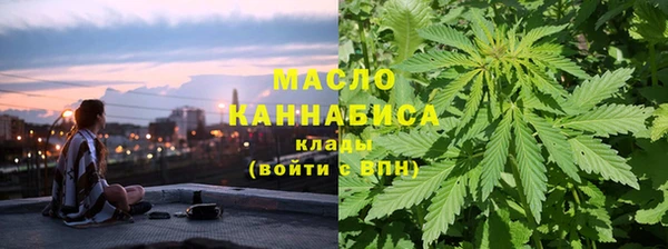 хмурый Арсеньев