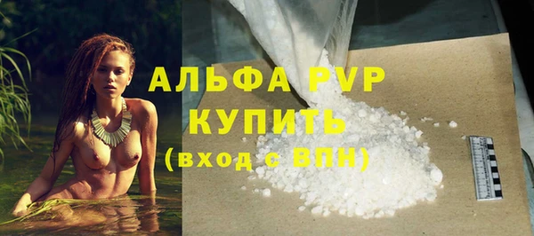 хмурый Арсеньев